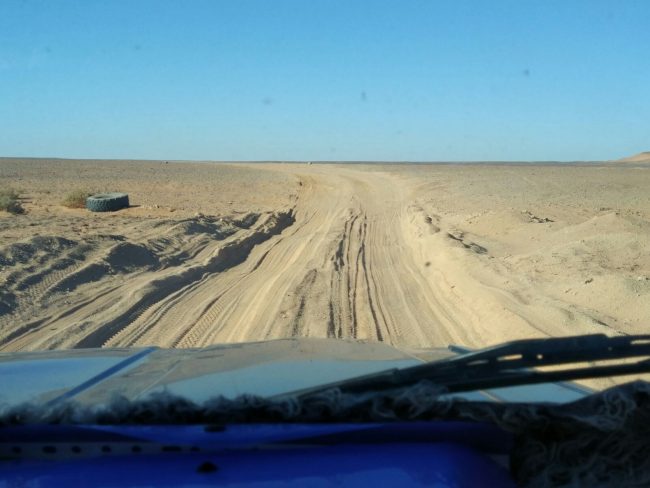 expolio-sahara-derecho-internacional-europa-sentencia expolio-sahara-derecho-internacional-europa-sentencia