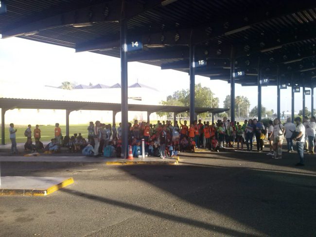 vacaciones-en-paz-extremadura-fedesaex-sahara-2018-17