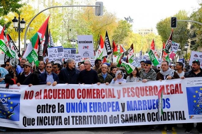 manifiesto-sahara-fedesaex-sahara-extremadura